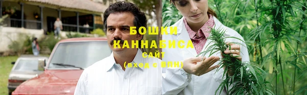 ПСИЛОЦИБИНОВЫЕ ГРИБЫ Алексин