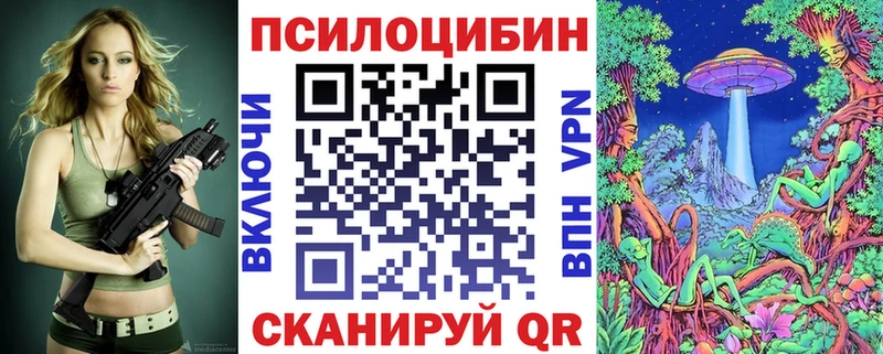 Галлюциногенные грибы Psilocybe  блэк спрут ссылки  Троицк 